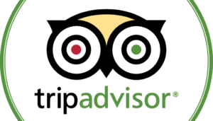 A stylized owl face with large white eyes, one with a red center and the other with a green center, above the word "advisor" in green lowercase letters. The owl's face is set against a black circular background with a green border.
